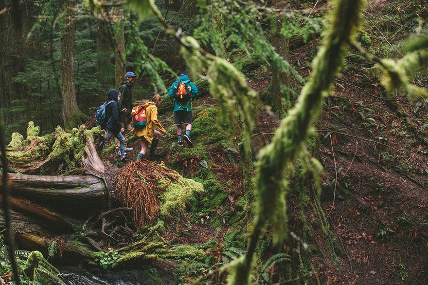 Burton Day Packs brightening up an otherwise shady old growth forest.