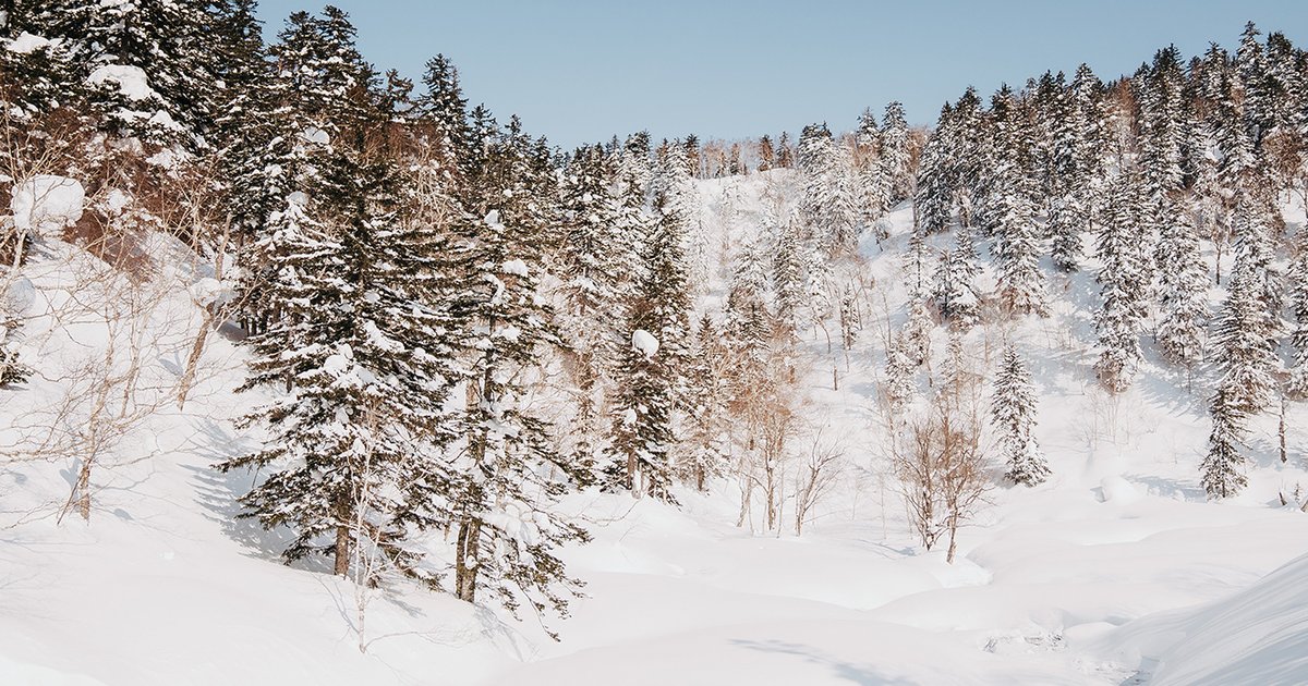 バートン ハイファイブ ミトン フリースライナー ボア 廃盤