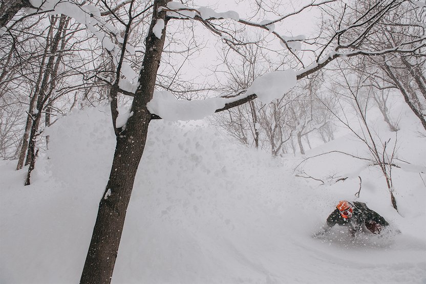 They call it Japow.