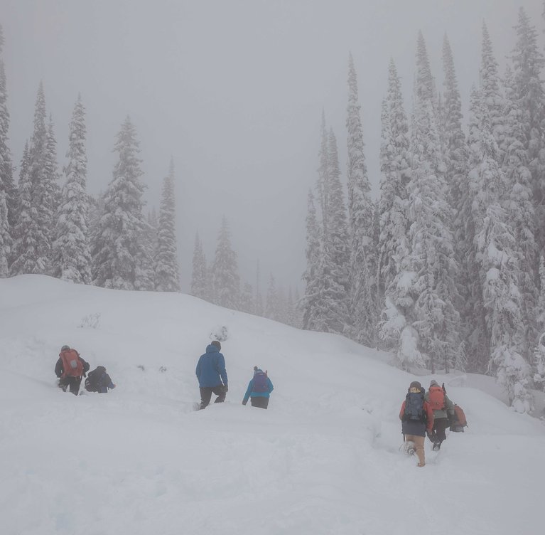 Why You Should Take an Avalanche Safety Course - Group Rescue Practice